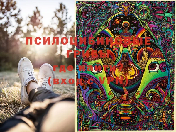 молекула духа Вязьма
