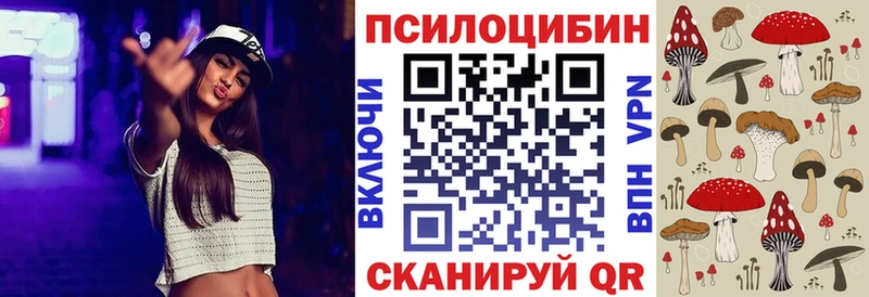 Галлюциногенные грибы Psilocybe купить наркоту ссылка на мегу ССЫЛКА Заволжск
