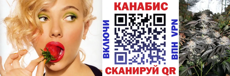 закладки  Заволжск  Бошки Шишки сатива 